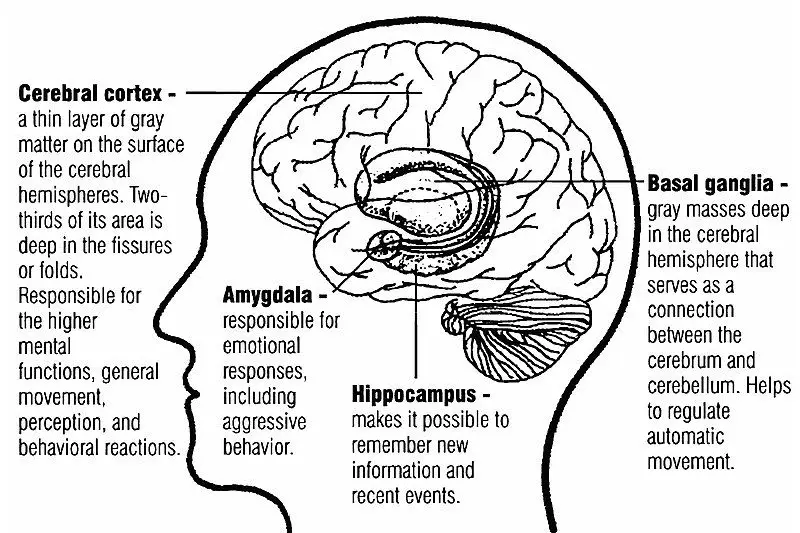 Nuolai Biomedical Comprehensive Autism Support