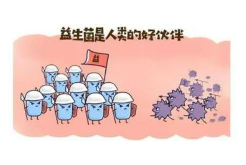 Enhanced Gut Microbiota Therapy