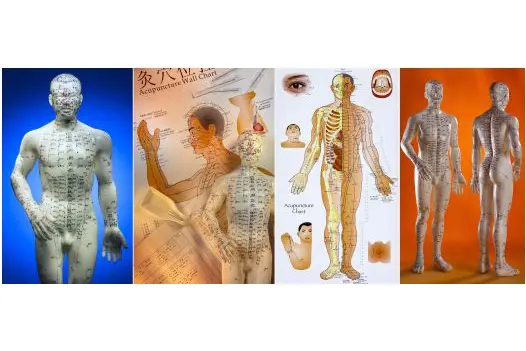 Chinese medicine Rehabilitation